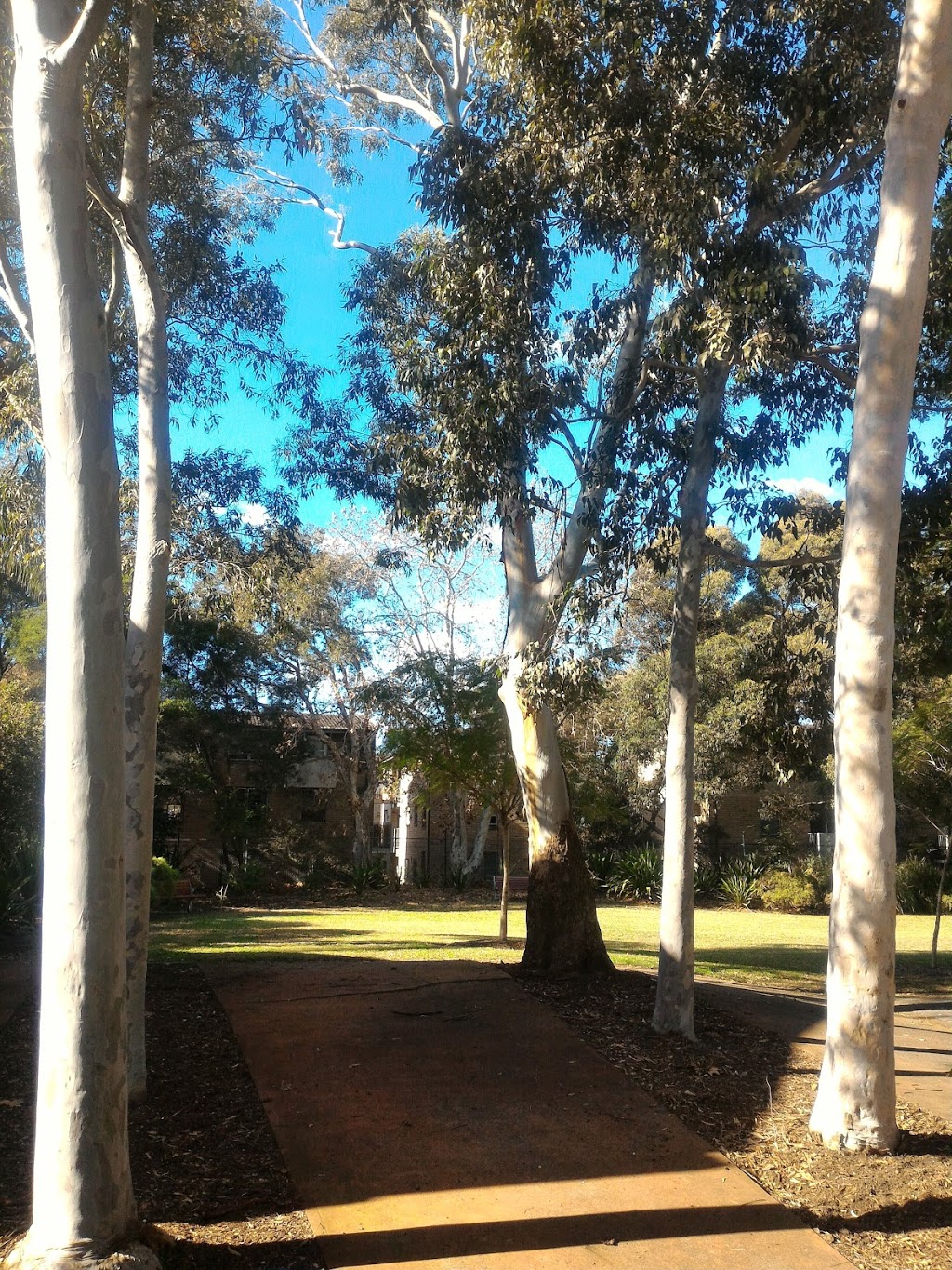 Solander Park | Monks Ln, Erskineville NSW 2043, Australia