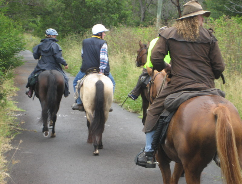 Happy Ranch Horses | 90 Yallah Rd, Yallah NSW 2530, Australia | Phone: 0414 633 614