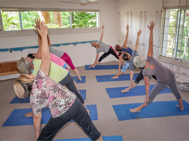 The Forest Yoga Room | gym | 43 Dundilla Rd, Frenchs Forest NSW 2086, Australia | 0294513519 OR +61 2 9451 3519