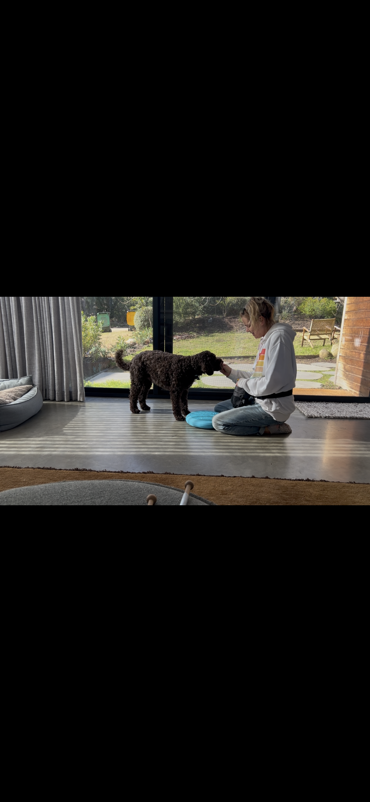 Wagging Tails Dog Training | 15 Cameron Rd, Anglesea VIC 3230, Australia | Phone: 0427 433 274