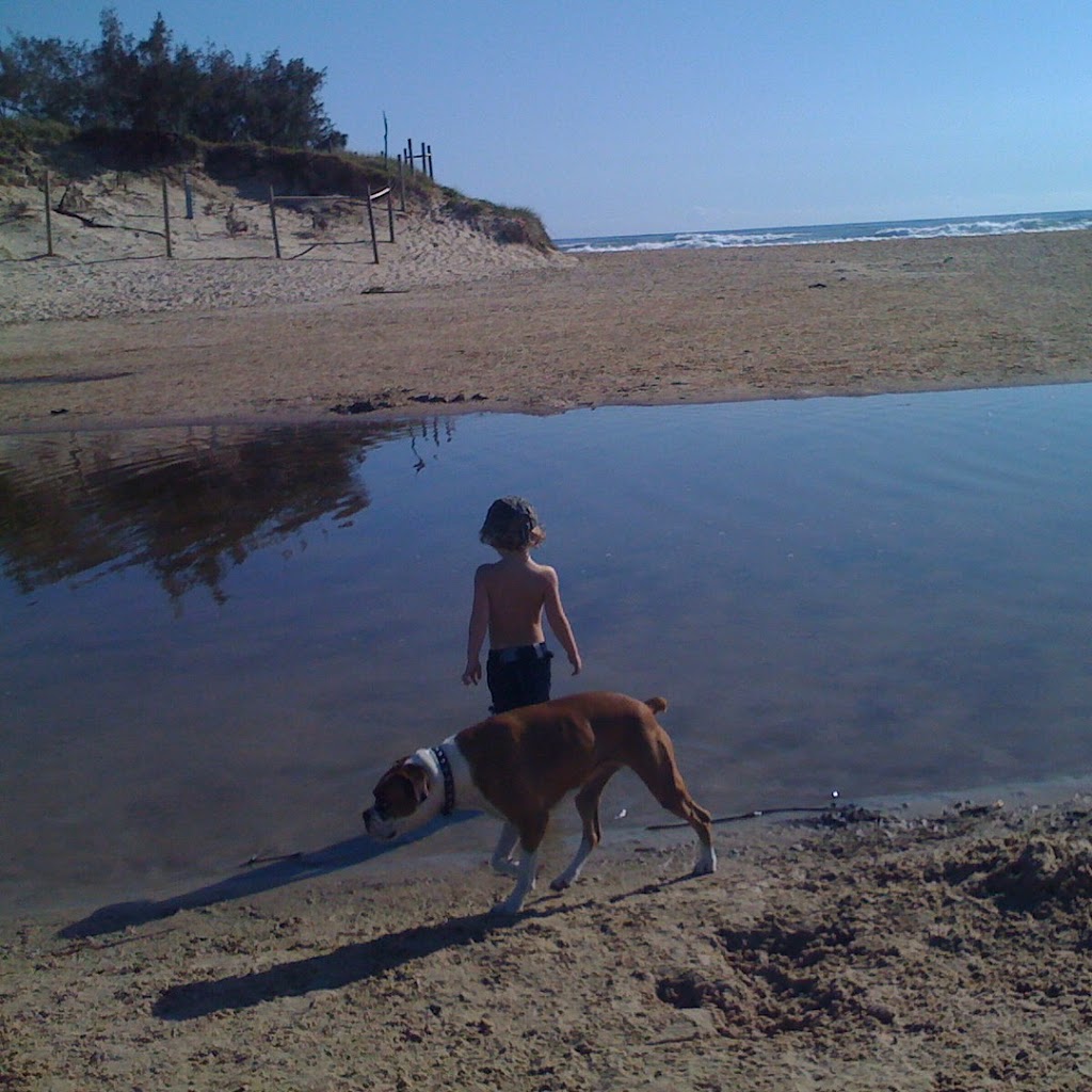 Stumers Creek Dog Offleash Area | park | Stumers Creek Rd, Coolum Beach QLD 4573, Australia