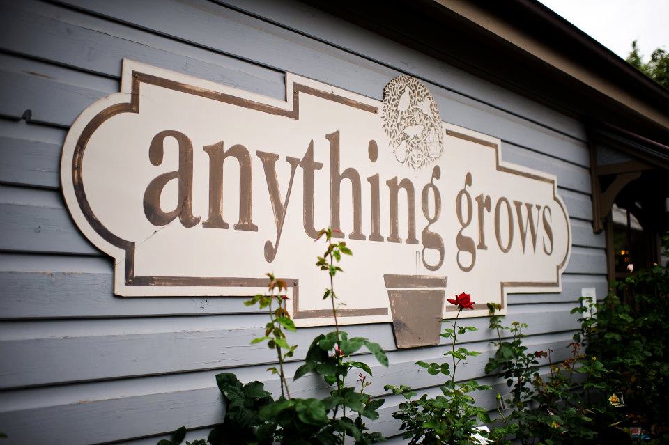 Anything Grows | cafe | 54 Summer St, Orange NSW 2800, Australia | 0263614333 OR +61 2 6361 4333