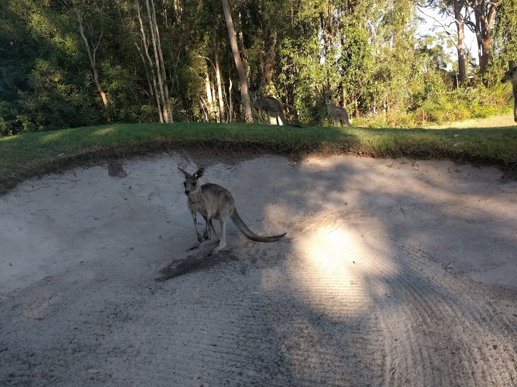 Horizons Golf Resort | Horizons Dr, Salamander Bay NSW 2317, Australia | Phone: (02) 4982 0474