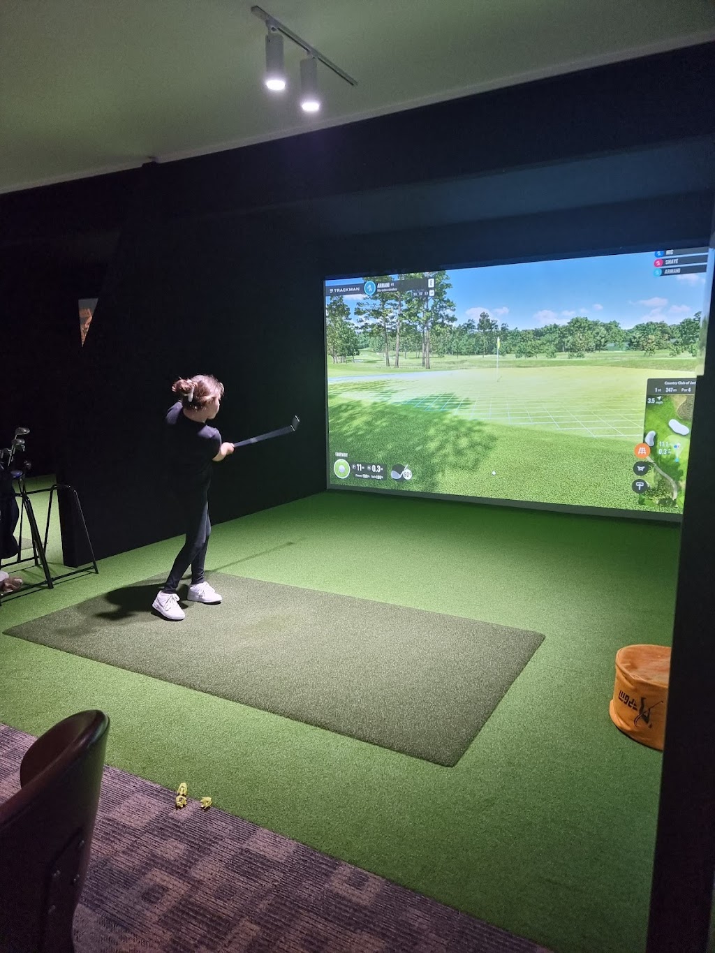 Narrabri Indoor Golf & Golfie Pro Shop | Narrabri NSW 2390, Australia | Phone: 0411 752 170