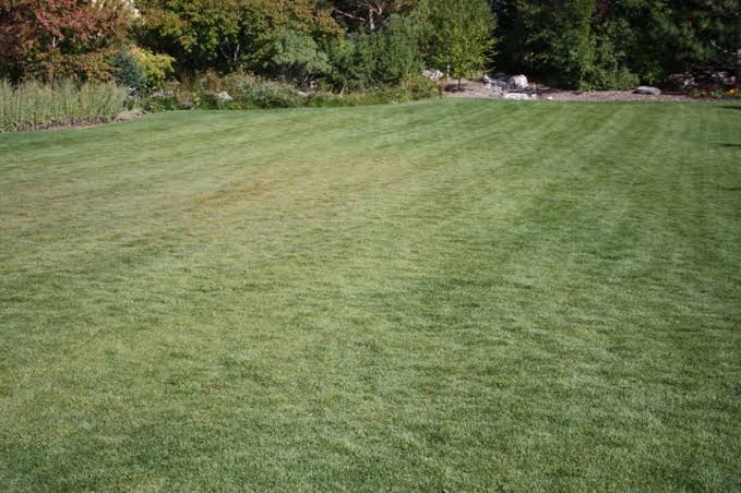 Lattas lawn and gardening services | 1 Cedar Wattle Pl, Narellan Vale NSW 2567, Australia | Phone: 0409 988 805