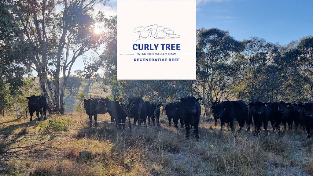 Curly Tree Farm | 2531 Sofala Rd, Wiagdon NSW 2795, Australia | Phone: 0412 515 214