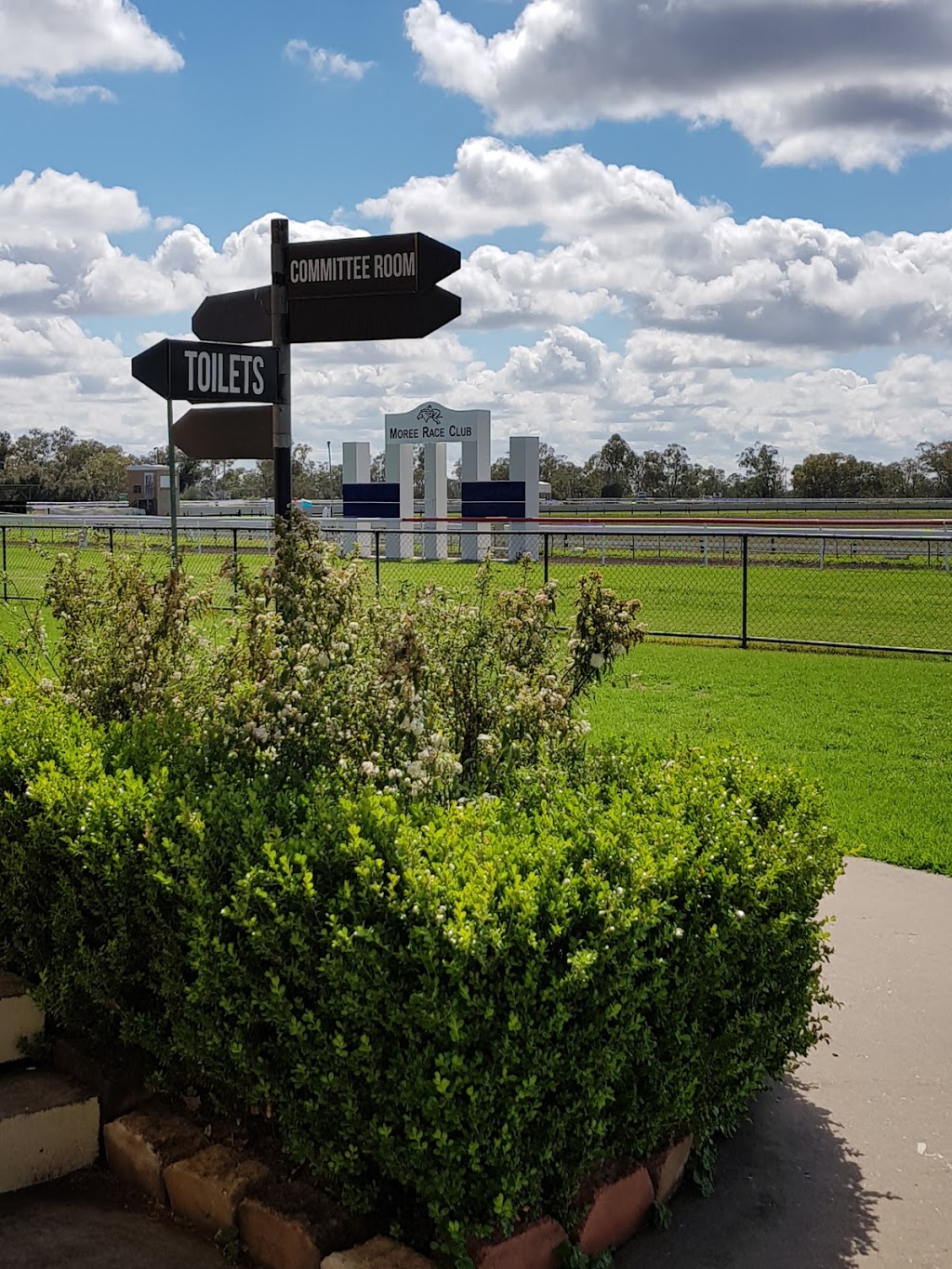 Moree Race Club | Boggabilla Rd, Moree NSW 2400, Australia | Phone: (02) 6752 3284