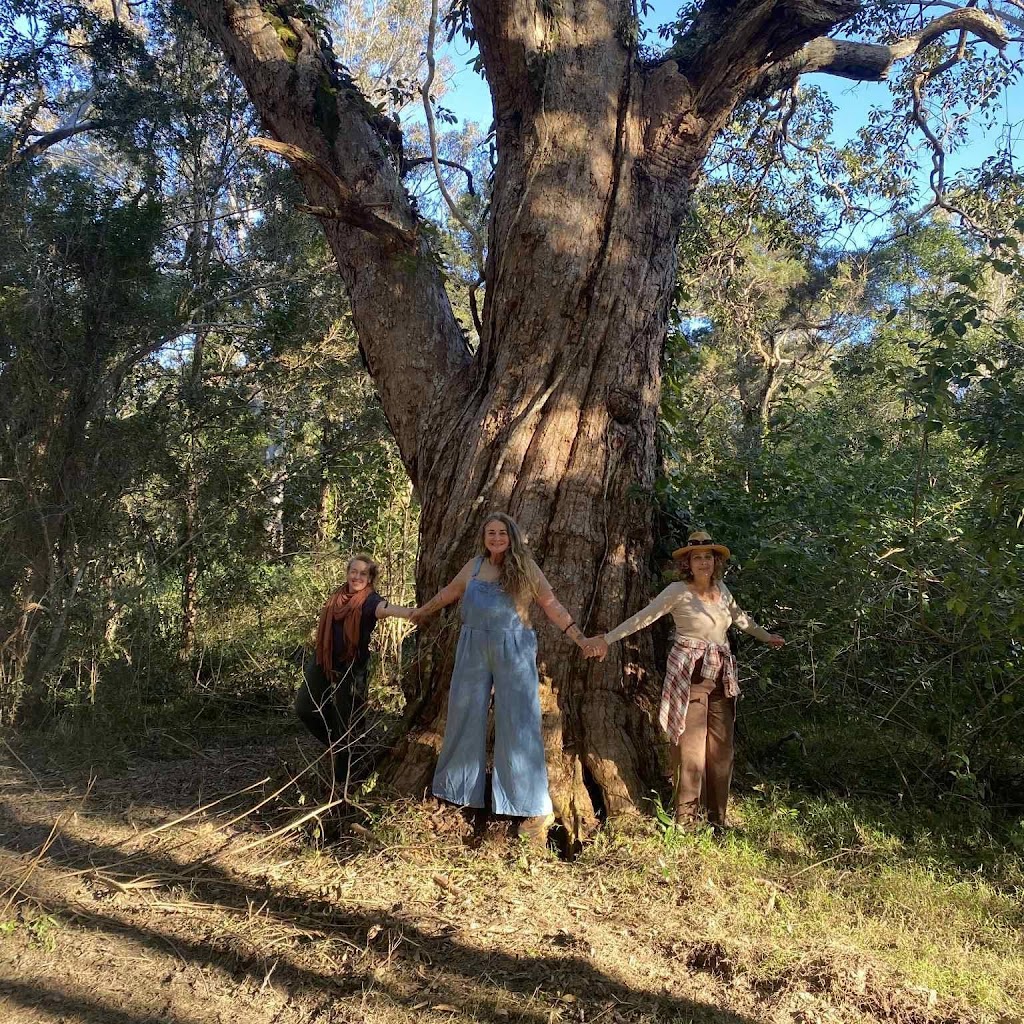 ashara retreats | 29 Young St, Wooloweyah NSW 2464, Australia | Phone: 0490 381 393