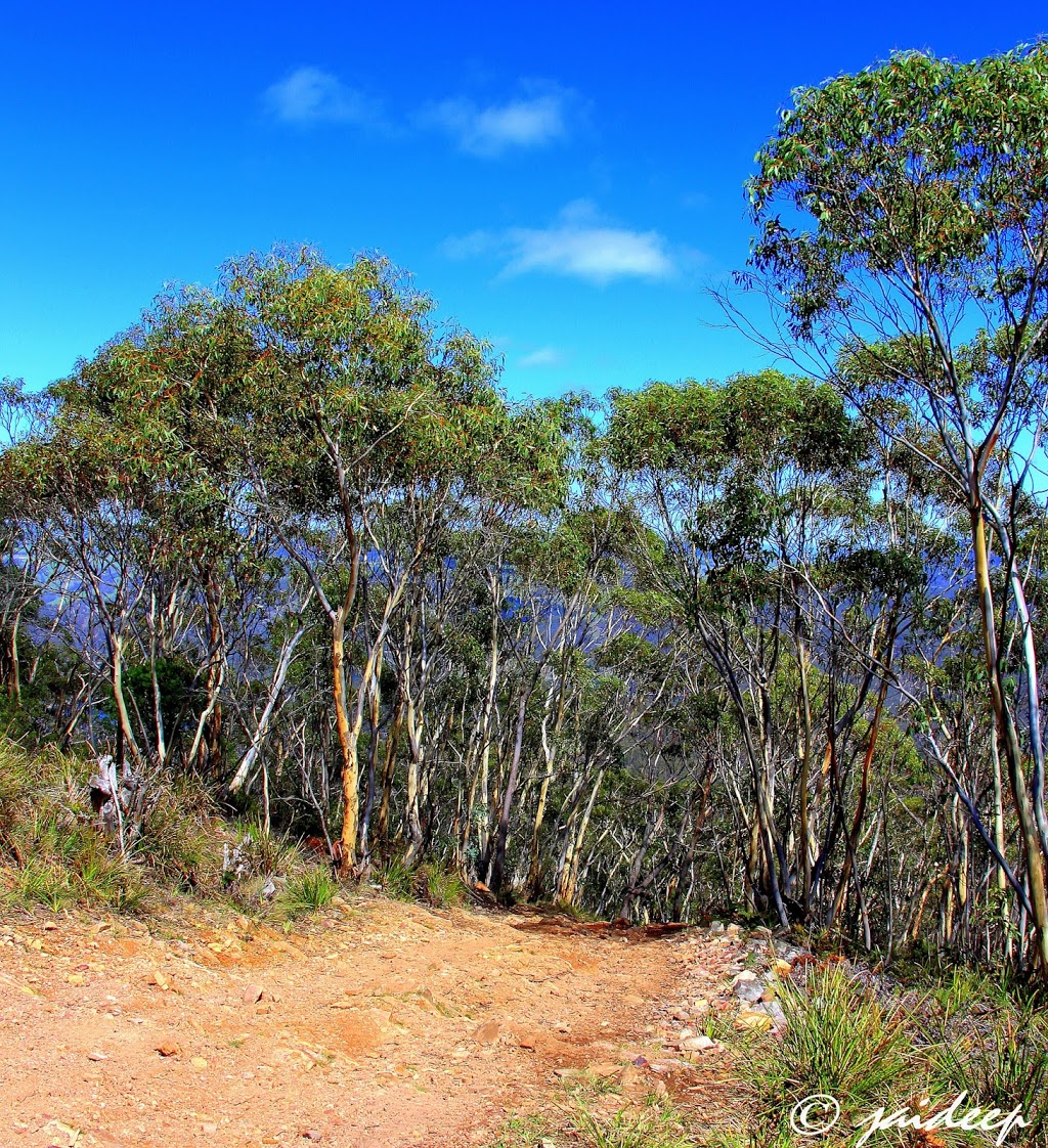 Mount Walker Trig Point | park | South Bowenfels NSW 2790, Australia