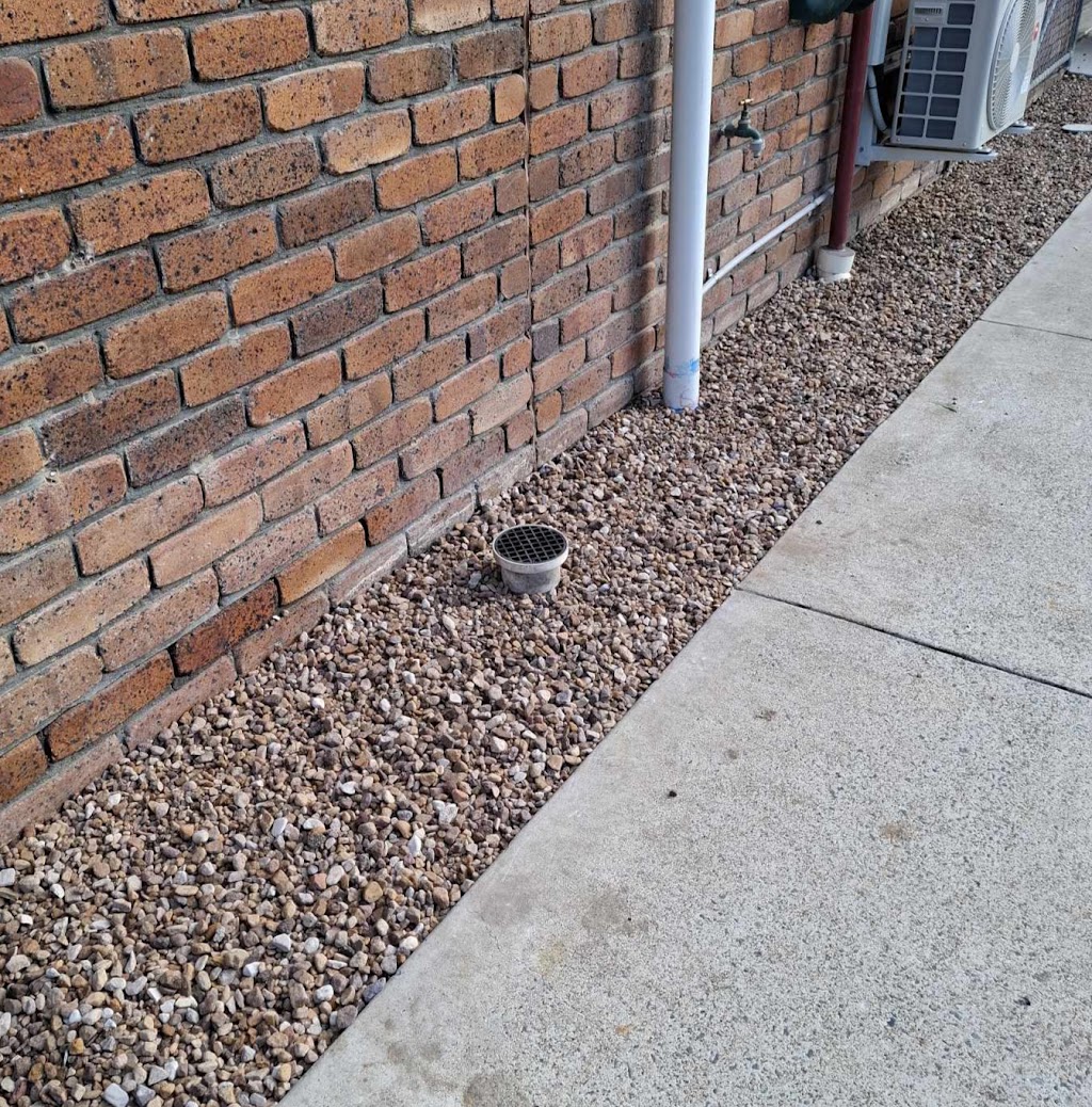 Jim’s Termite & Pest Control (Greenbank) | 65 Carnarvon Ave, Springfield Lakes QLD 4300, Australia | Phone: 13 15 46