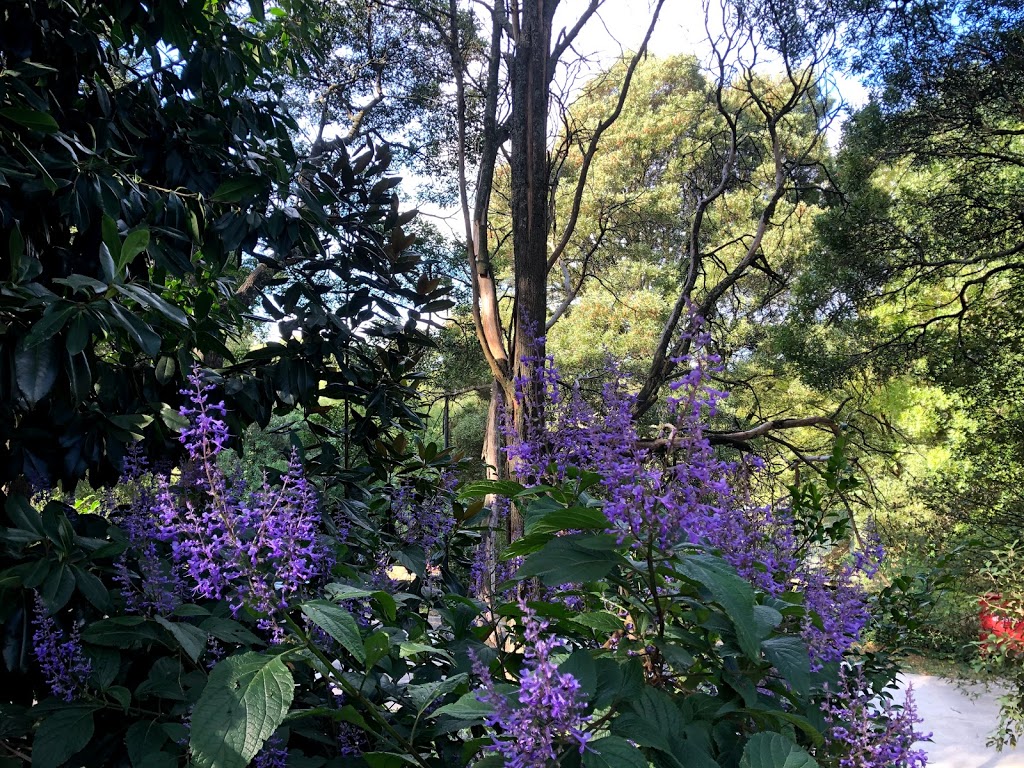 Mount Dendenong Picnic Garden | park | Mount Dandenong VIC 3767, Australia