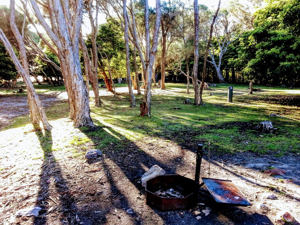 Bittangabee campground | campground | Bittangabee Road, Green Cape NSW 2551, Australia | 1300072757 OR +61 1300 072 757