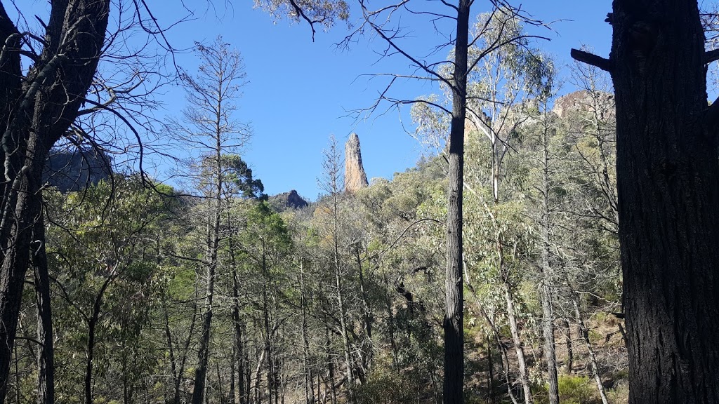 Balor Hut campground | Dagda Shortcut, Tonderburine NSW 2828, Australia | Phone: (02) 6825 4364