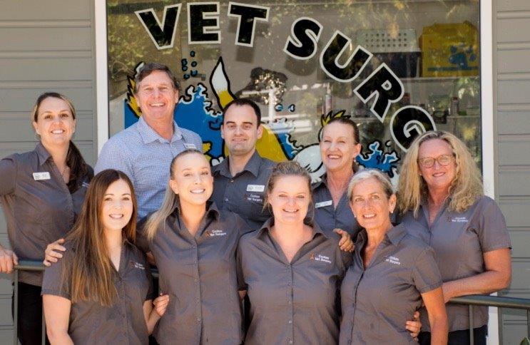 Coolum Vet Surgery | veterinary care | 43 Yandina Coolum Rd, Coolum Beach QLD 4573, Australia | 0754463202 OR +61 7 5446 3202