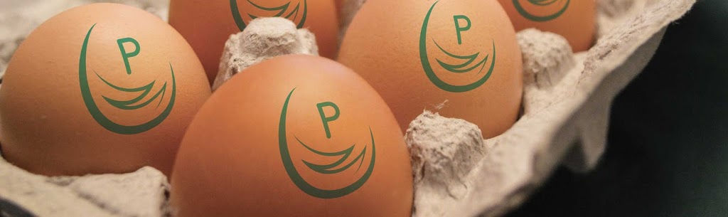 Australian Pasteurised Eggs Pty Ltd | 2 Foundation St, Wellcamp QLD 4350, Australia | Phone: 1800 472 333