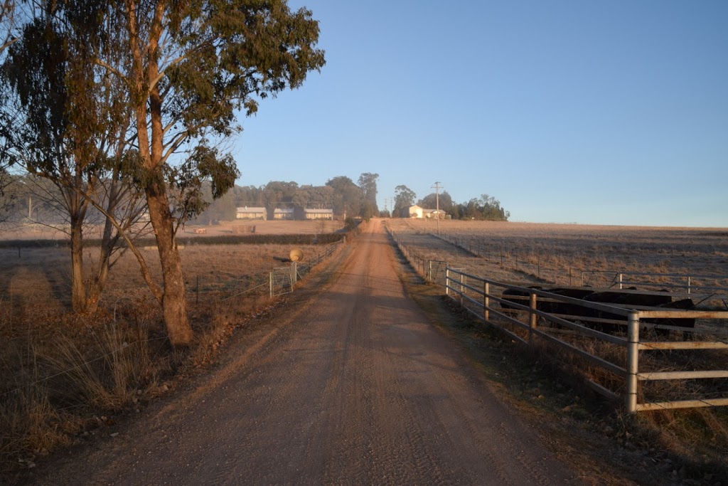 Peppertree Hill Cottages | 967 Henry Lawson Dr, Eurunderee NSW 2850, Australia | Phone: (02) 6372 0443