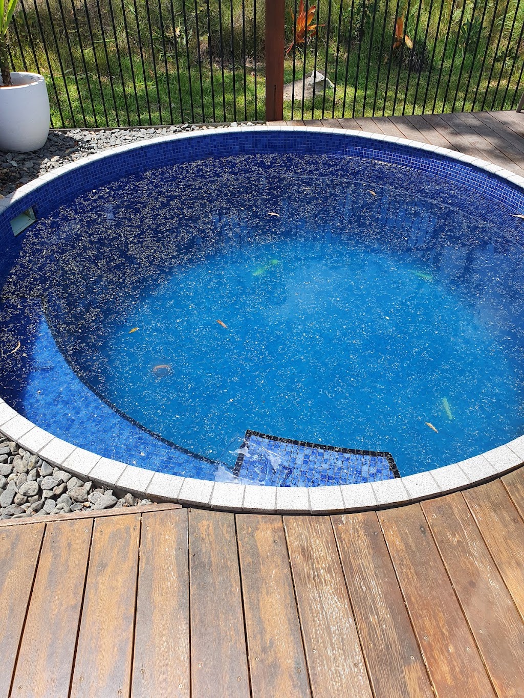 Endless Summer Pool Care | 37 Skylark St, Coolum Beach QLD 4573, Australia | Phone: 0410 076 192