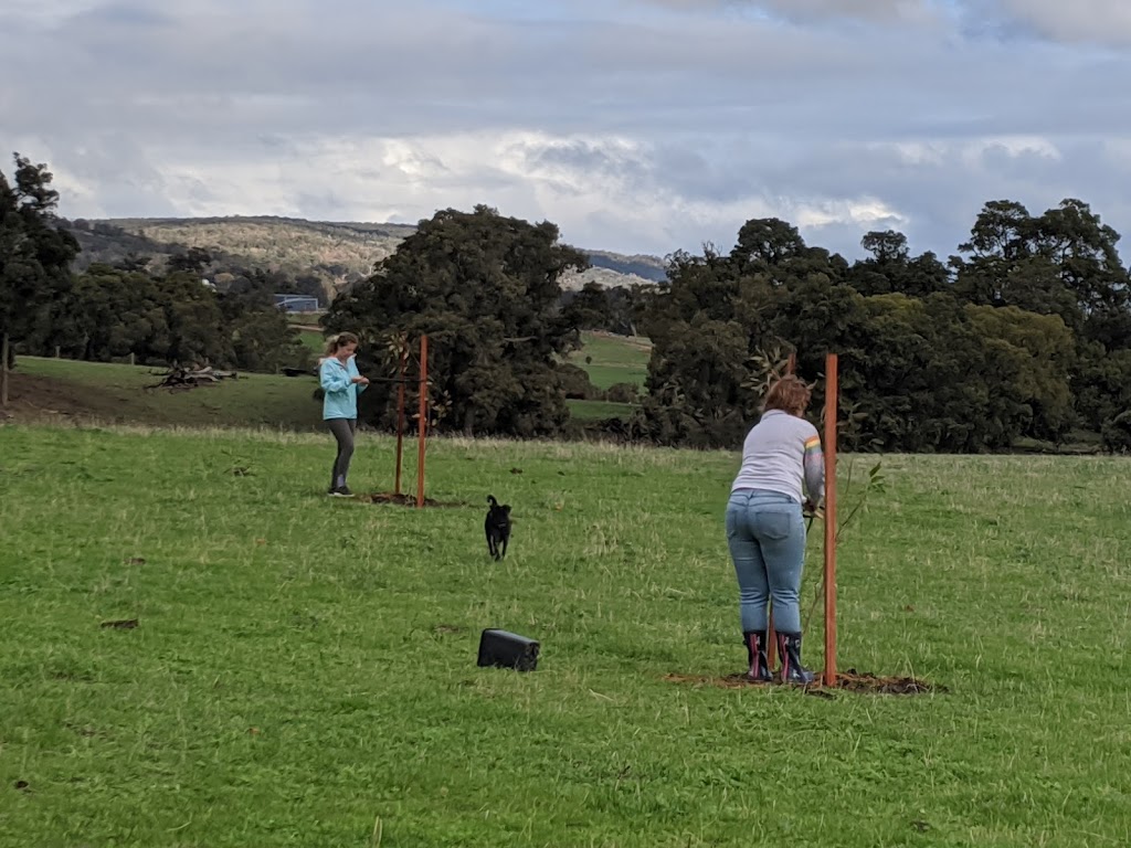 Jacaranda Hill Farm | 192 Morrell Rd, Fairbridge WA 6208, Australia | Phone: 0419 482 687