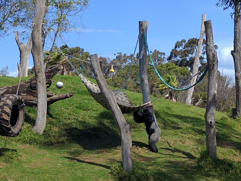 Werribee Open Range Zoo | zoo | K Rd, Werribee South VIC 3030, Australia | 1300966784 OR +61 1300 966 784