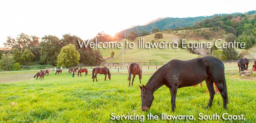 Illawarra Equine Centre | veterinary care | 1 Belinda St, Gerringong NSW 2534, Australia | 0244486488 OR +61 2 4448 6488