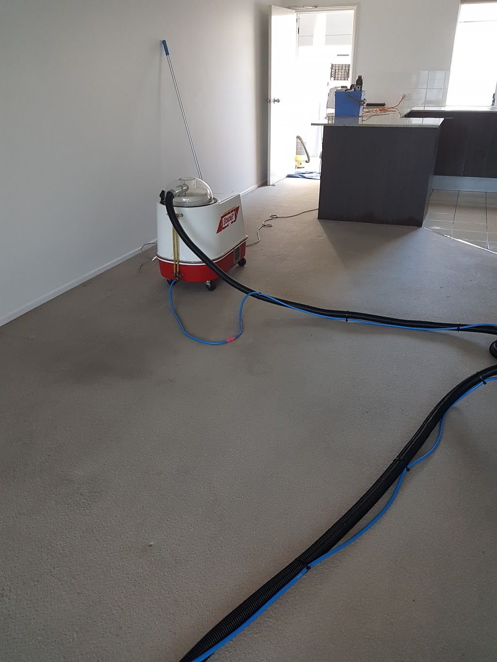 TDay Cleaning Services |  | Boronia Heights QLD 4124, Australia | 0411572043 OR +61 411 572 043