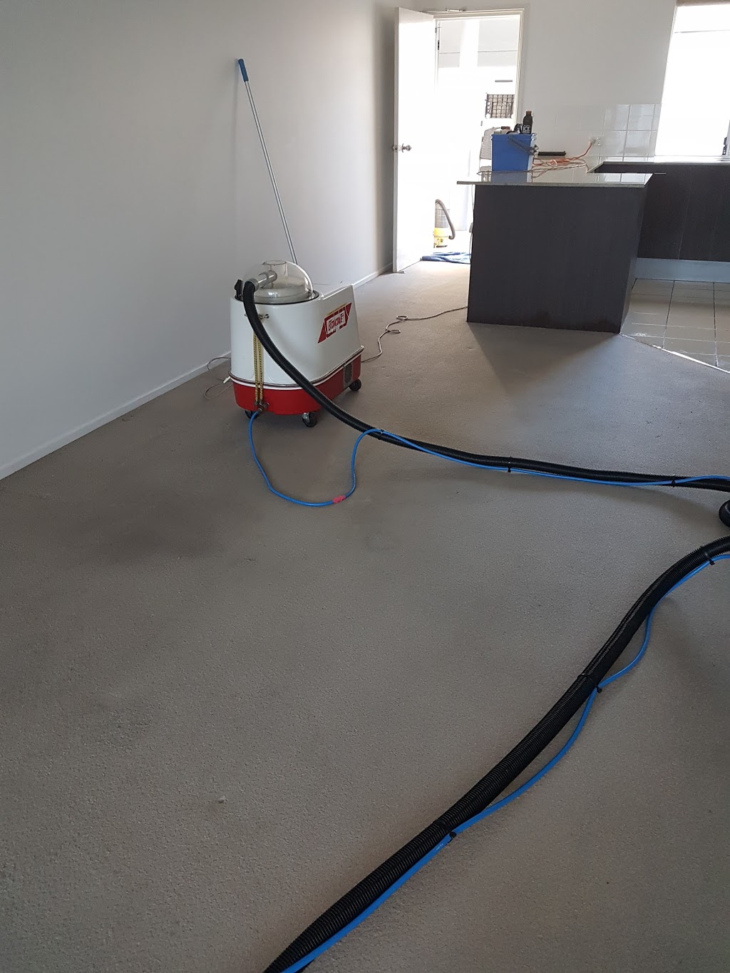 TDay Cleaning Services | Boronia Heights QLD 4124, Australia | Phone: 0411 572 043