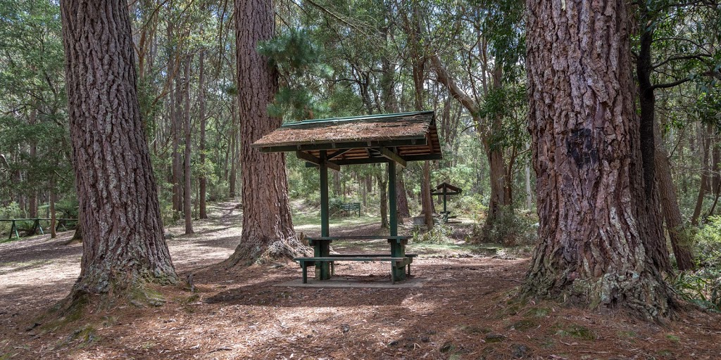 Lowden Forest Park | park | Off Lowden Rd, Farringdon NSW 2622, Australia