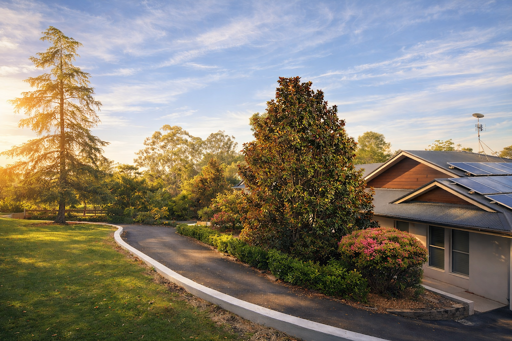 The Backyard Nursery | 64 Porters Rd, Kenthurst NSW 2156, Australia | Phone: 0409 839 674