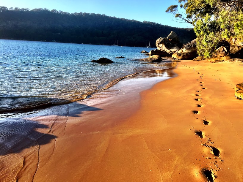 Pittwater Kayak Tours | 40 Iluka Park, Palm Beach NSW 2108, Australia | Phone: 0412 057 176