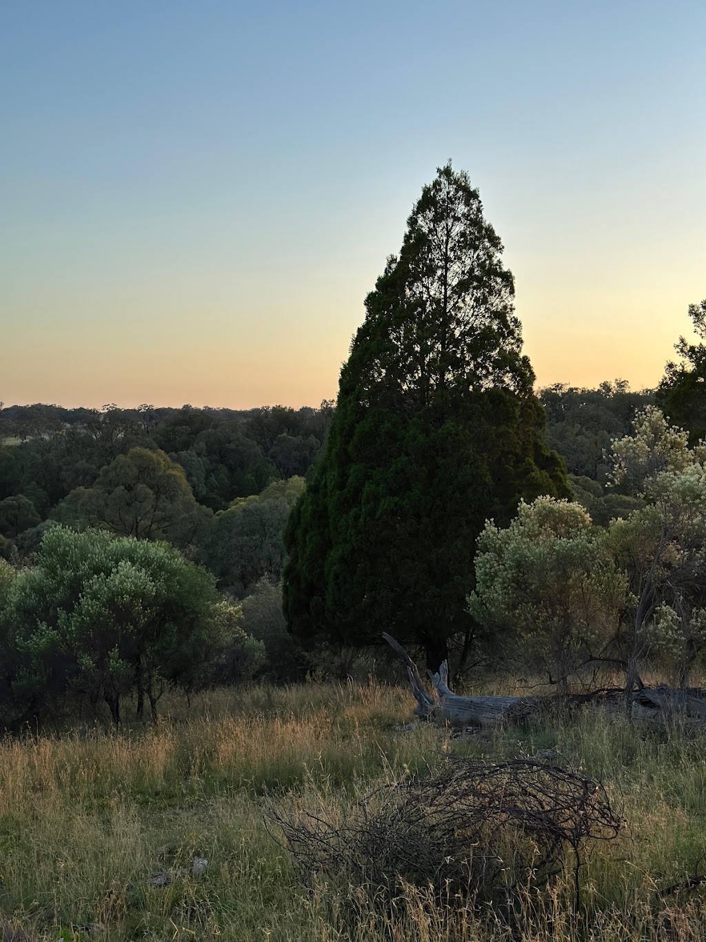 Punjab Farm | Halls Ln, Bukkulla NSW 2360, Australia | Phone: 0412 345 678