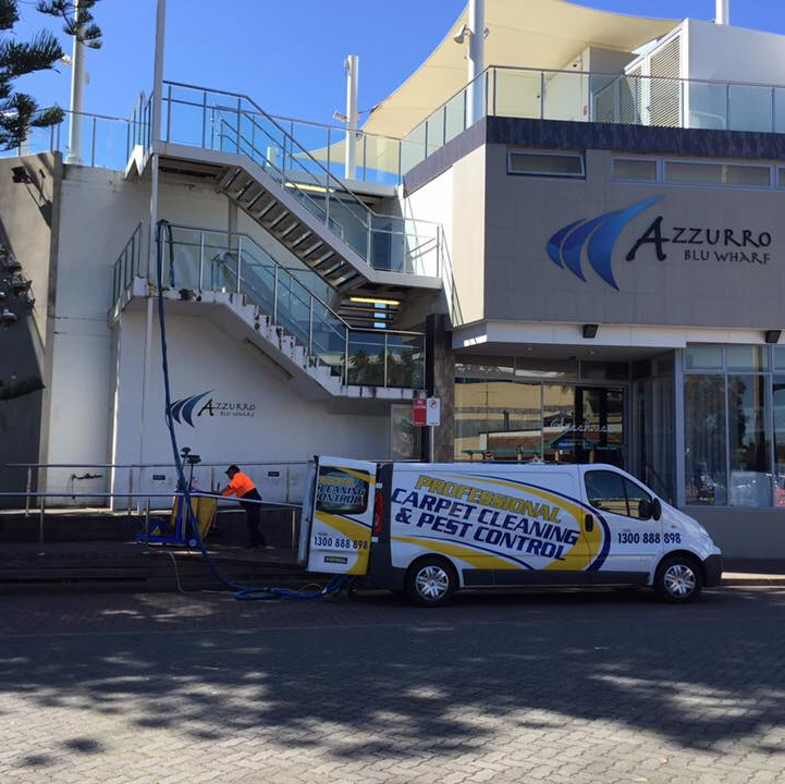 Professional Carpet Cleaning | laundry | 20 Albatross Cl, Forresters Beach NSW 2260, Australia | 0243847888 OR +61 2 4384 7888