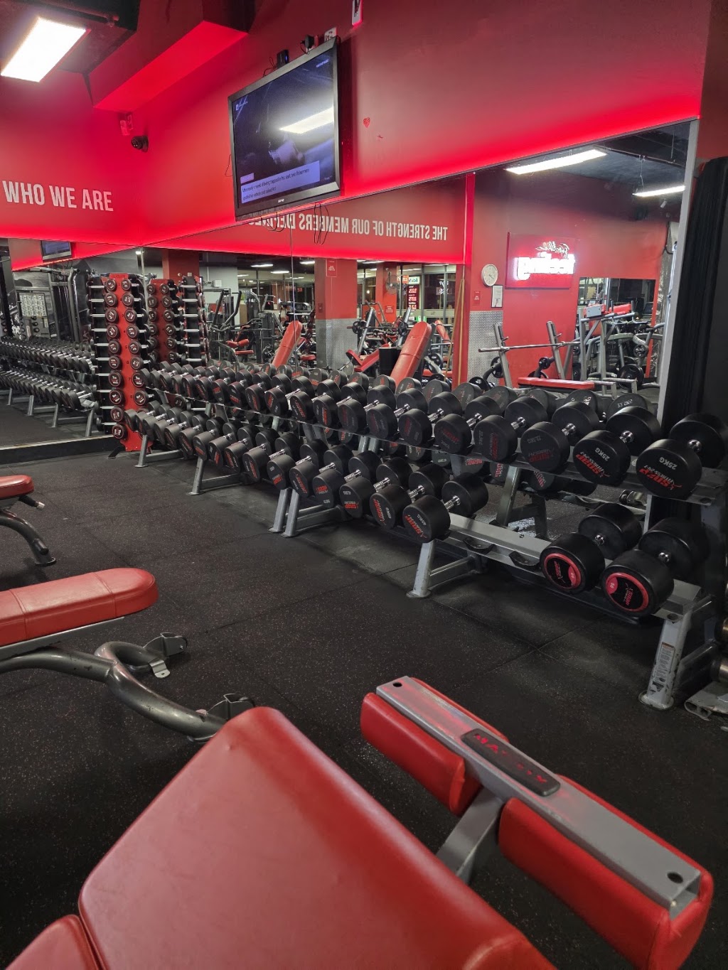 Fit Tone Femme - Personal Trainer Heidelberg & Online | Shop 2 & 3/40 Burgundy St, Heidelberg VIC 3084, Australia | Phone: 0458 864 440