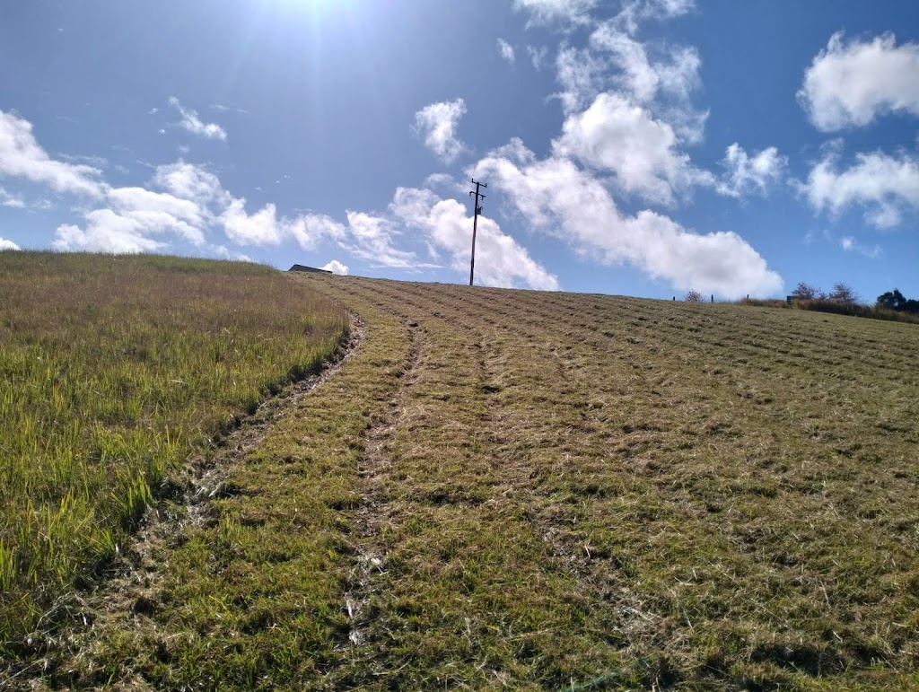 Superslash Slashing and fence line clearing | 2648 Orara Way, Kremnos NSW 2460, Australia | Phone: 0433 676 234