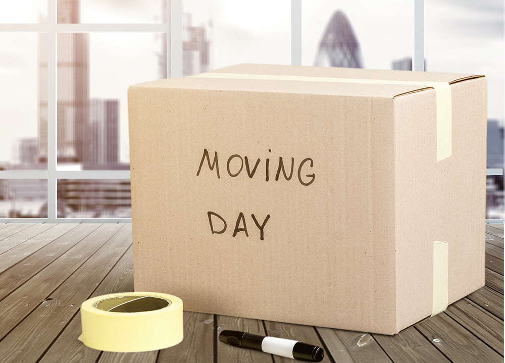Delicate Removals | moving company | 302 Arden St, Coogee NSW 2034, Australia | 0452395633 OR +61 452 395 633