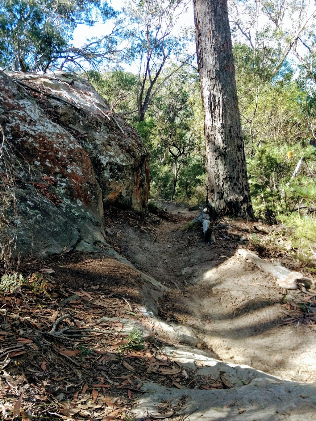 Welby MTB Trails | parking | Meranie St, Welby NSW 2575, Australia