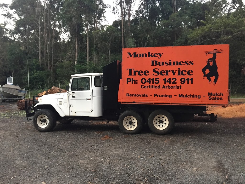 Monkey Business Tree Service | Nambour Bli Bli Road, Bli Bli QLD 4560, Australia | Phone: 0415 142 911