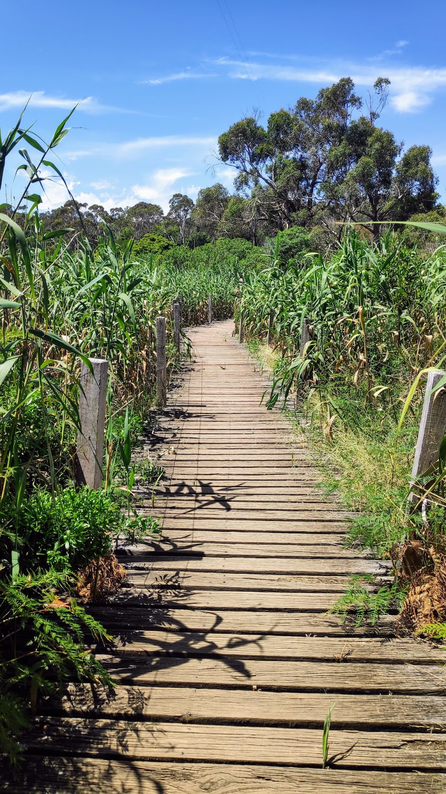 Tower Hill Park Boundary | Entrance Rd, Tower Hill VIC 3283, Australia