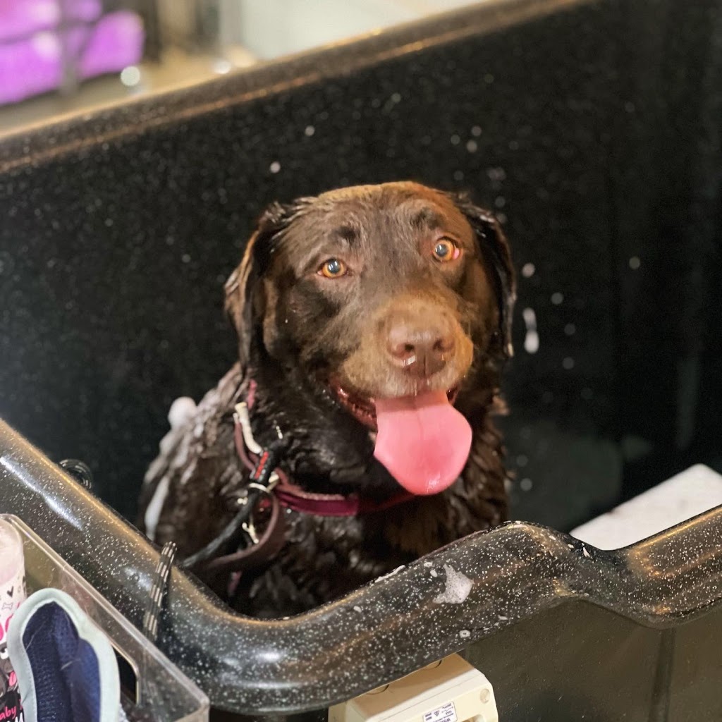 Barn House Co. | Lakes Dr, Laidley Heights QLD 4341, Australia | Phone: 0407 654 039