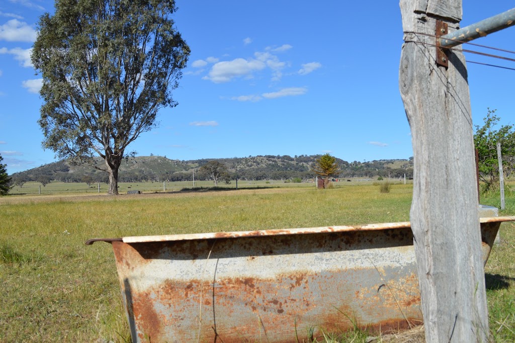 Bannisters Place | campground | 321 Alexandersons Rd, Locksley VIC 3665, Australia | 0431913418 OR +61 431 913 418