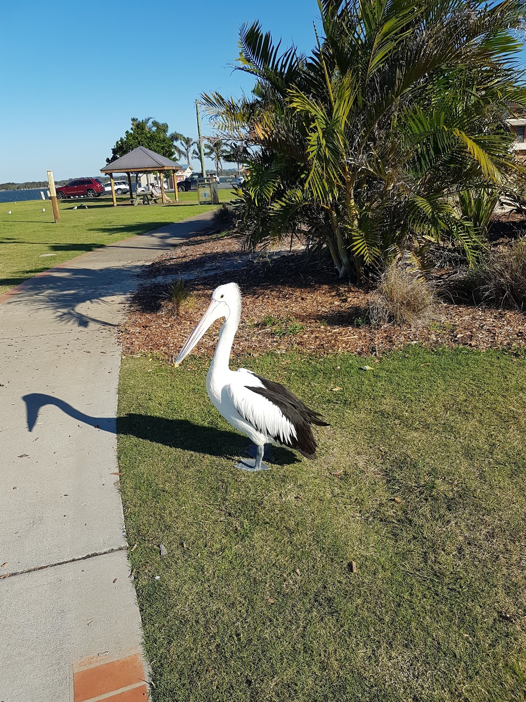 Lone Pine Memorial Park | 4 Manning St, Tuncurry NSW 2428, Australia