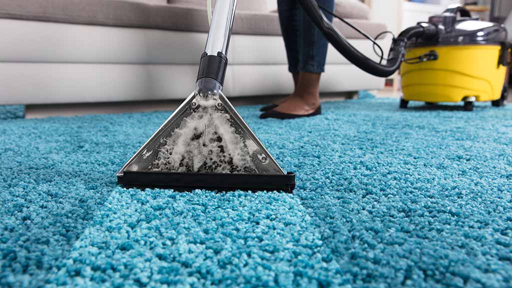 Carpet Cleaning Sunshine Coast - Peters Cleaning Services | laundry | 1 Neroli St, Palmwoods QLD 4555, Australia | 0731844051 OR +61 7 3184 4051