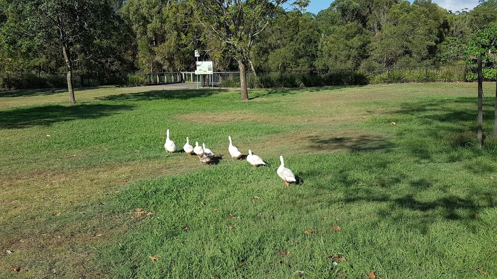Sherwood Arboretum | park | 57 Dewar Terrace, Sherwood QLD 4075, Australia | 0734038888 OR +61 7 3403 8888