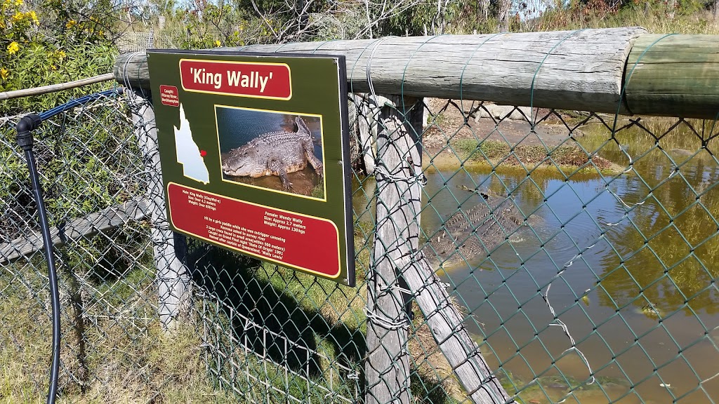 Koorana Crocodile Farm | tourist attraction | 65 Savages Rd, Coowonga QLD 4702, Australia | 0749344749 OR +61 7 4934 4749