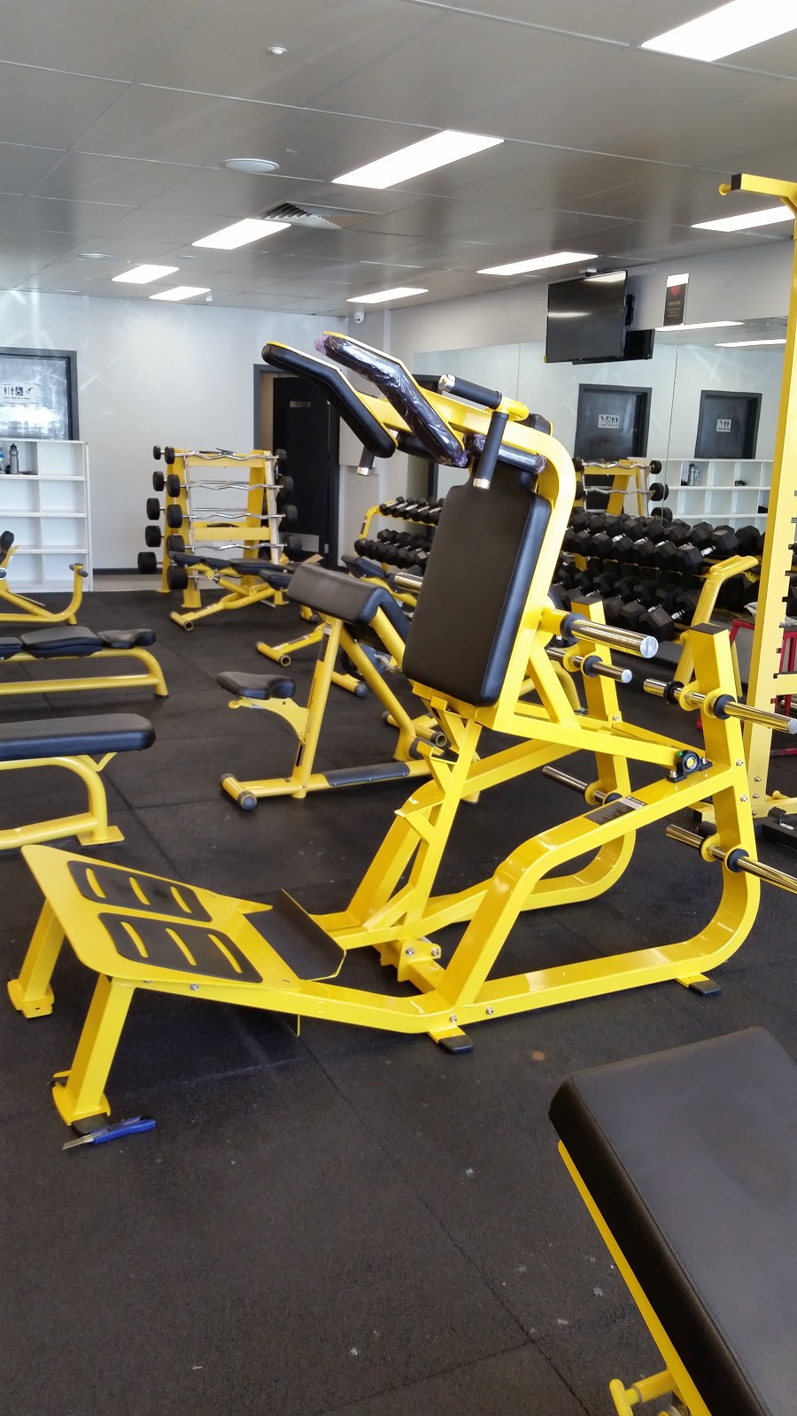 A1 Fitness Supplies | store | 6/65-67 Hallam S Rd, Hallam VIC 3083, Australia | 0452266814 OR +61 452 266 814