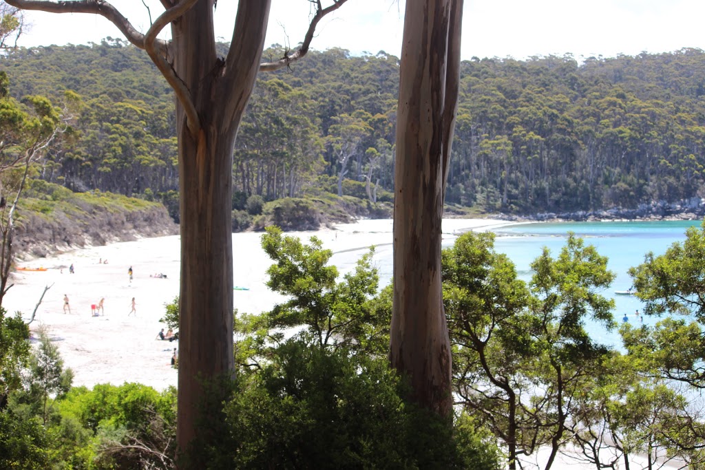 Cape Hauy Trailhead | park | Cape Hauy Track, Fortescue TAS 7182, Australia