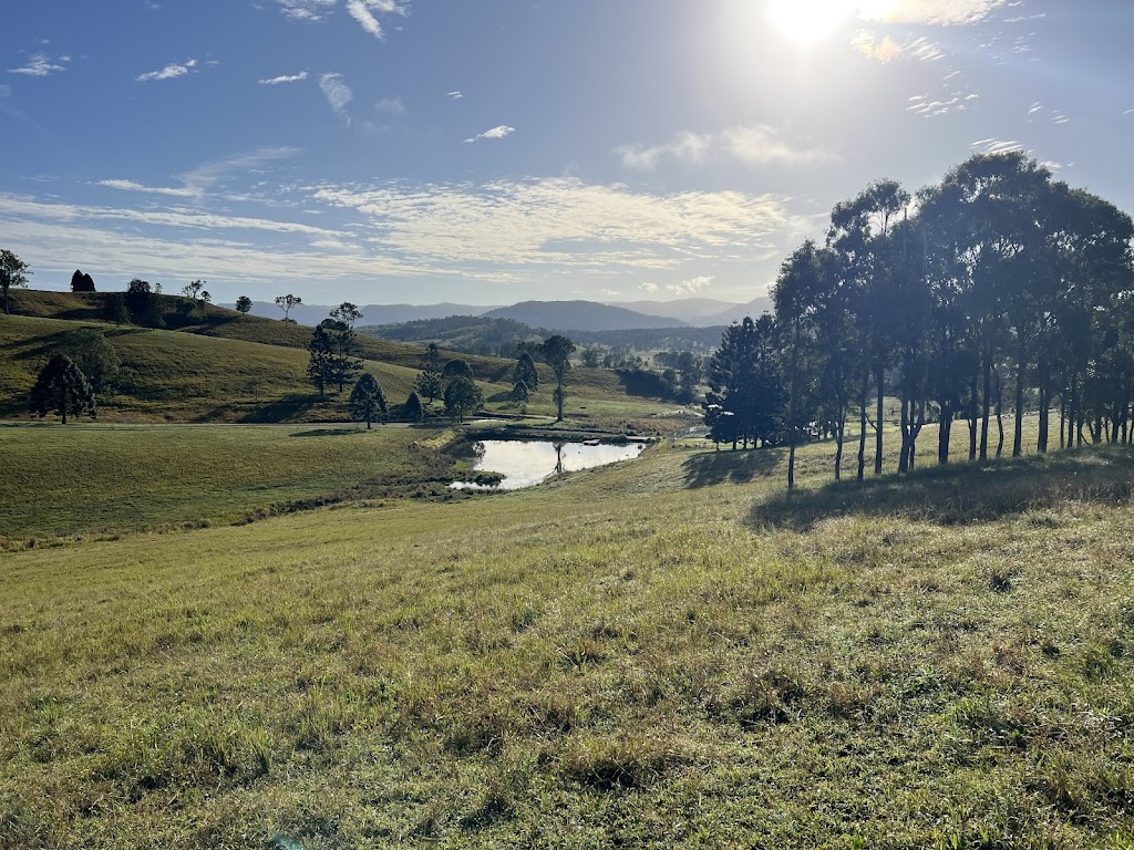 Ataraxis Farms | 825 Collins Creek Rd, Kygole NSW 2474, Australia | Phone: 0431 087 733