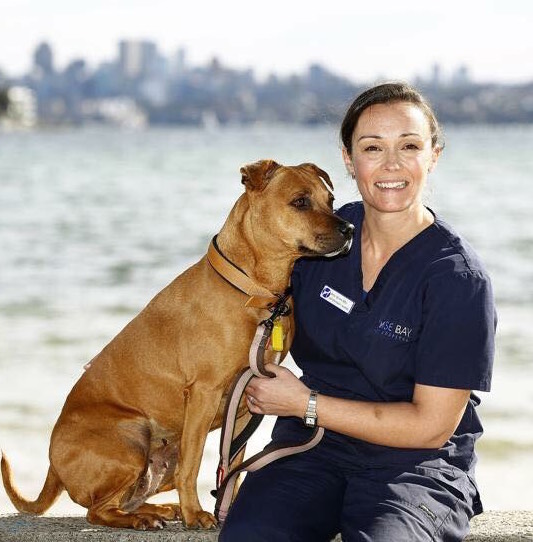 Rose Bay Vet Hospital | veterinary care | 8 Newcastle St, Rose Bay NSW 2029, Australia | 0293882551 OR +61 2 9388 2551