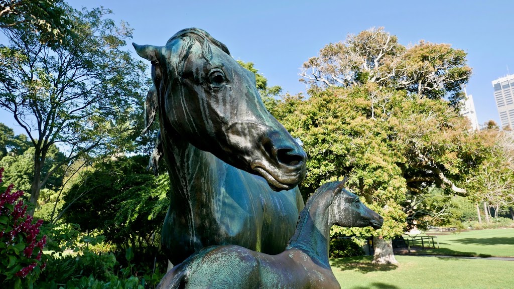 The Mare & Foal Lawn | park | 1c Mrs Macquaries Rd, Sydney NSW 2000, Australia | 0292318111 OR +61 2 9231 8111