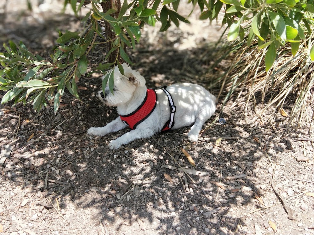 Diamond Creek Reserve Off Leash Dog Park | Diamond Creek VIC 3089, Australia