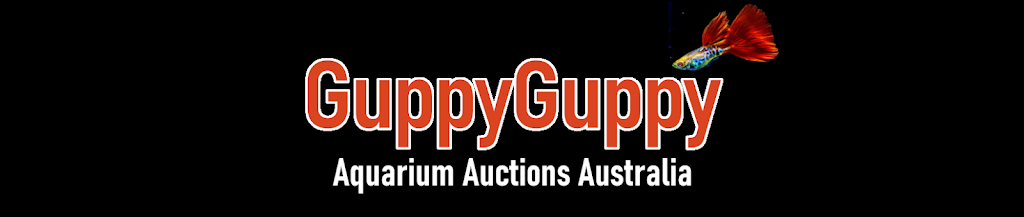 Guppy Guppy | 131 Macquarie St, Merewether NSW 2291, Australia | Phone: 0431 840 048